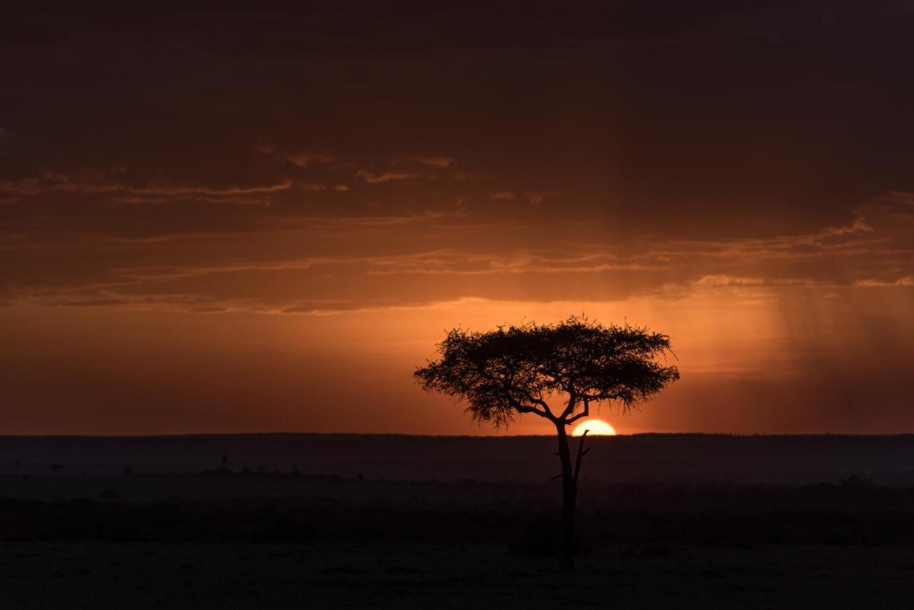 Africa Safari Maasai Boma Villa Serengeti Exterior photo